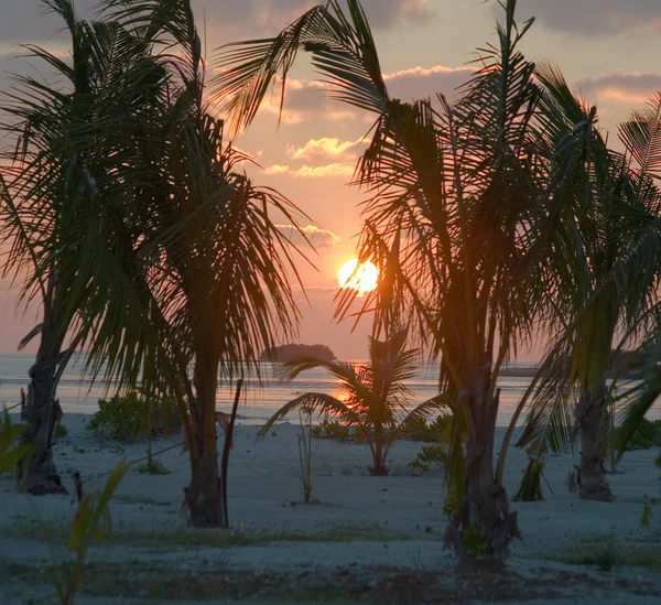 Sunset on islands — Stock Photo, Image
