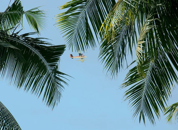 The plane above island — Stok fotoğraf