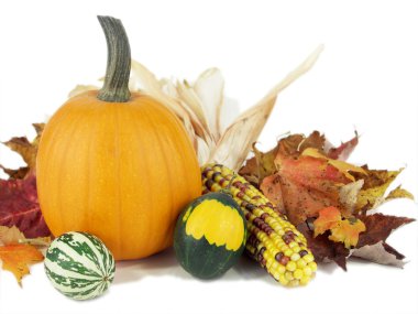 Autumn arrangement clipart