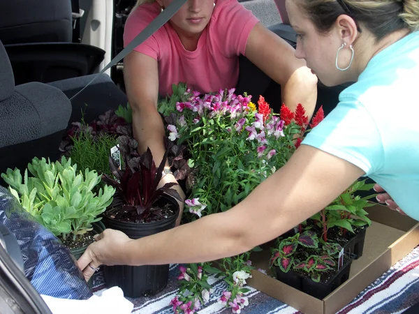 stock image Leaving the greenhouse