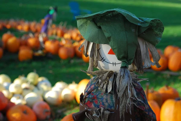 Pompoen patch scarecrow — Stockfoto