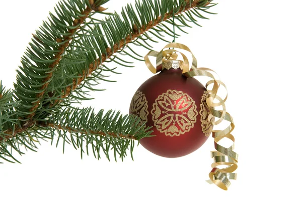 Red Christmas ornament on tree — Stock Photo, Image