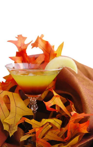 Martini de outono — Fotografia de Stock