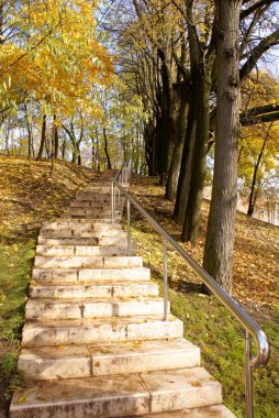 park içinde merdiveni