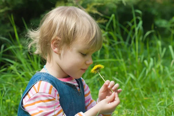 Child in the meadow — Stock Photo, Image
