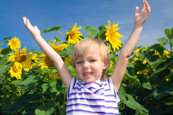 Little girl and sunflowers — Stock Photo, Image