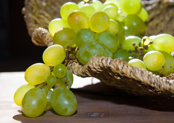 stock image Grapes