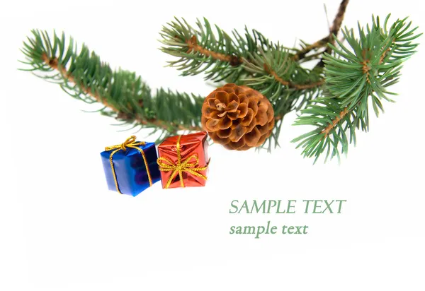 Branch of Christmas tree and gifts — Stock Photo, Image