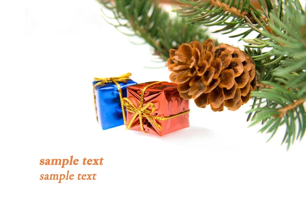 Zweig des Weihnachtsbaums und Geschenke — Stockfoto