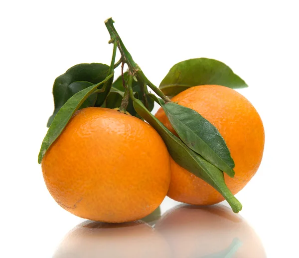 stock image Tangerine