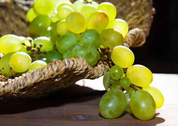 stock image Grapes