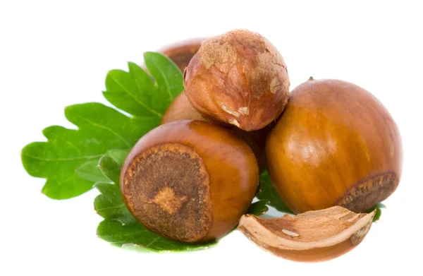 stock image Filbert nuts