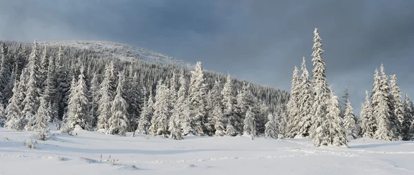 Χειμώνα στα βουνά — Φωτογραφία Αρχείου