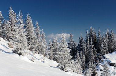 dağlarda kış