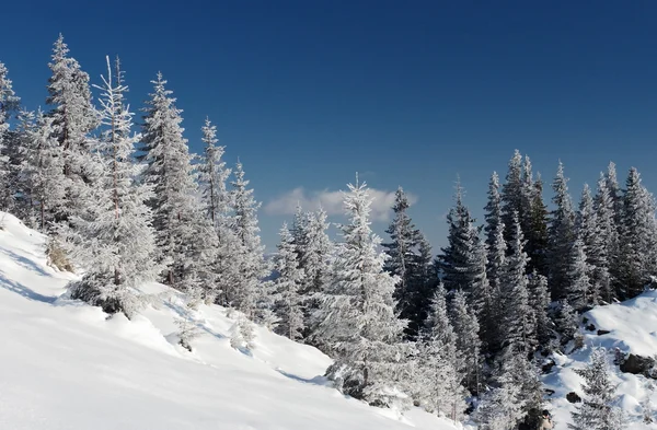 stock image Winter in mountains