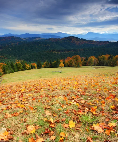 Hösten i bergen — Stockfoto