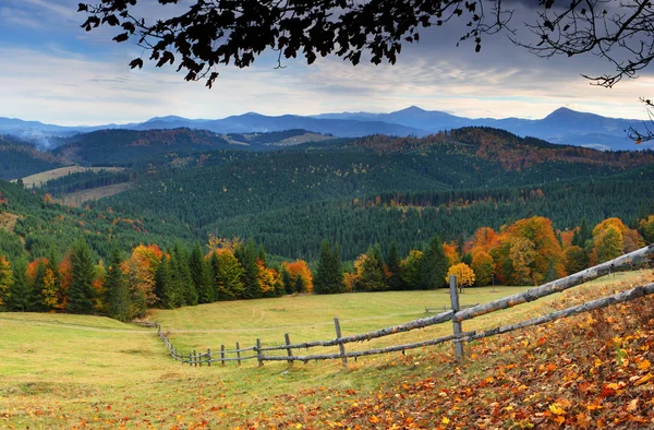 在山中的秋天 — 图库照片