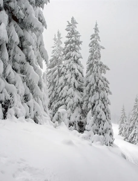 Зима в горах — стокове фото