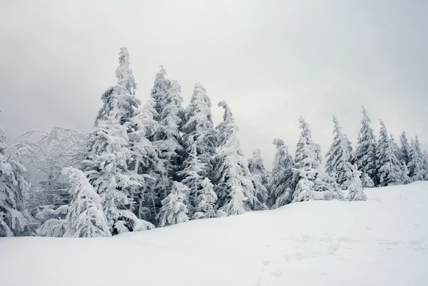 Invierno en montañas —  Fotos de Stock