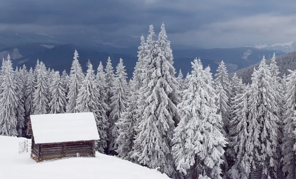 Zima w górach — Zdjęcie stockowe