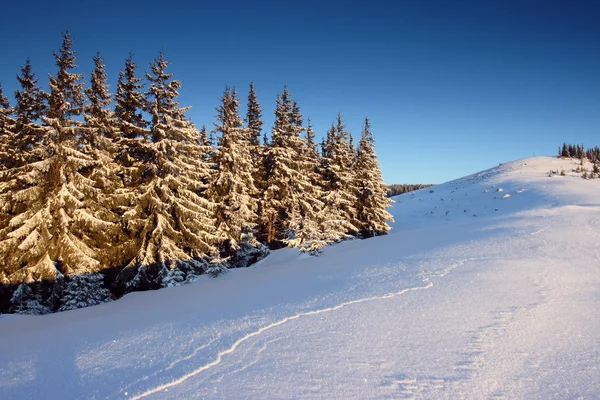 Dağlarda kış — Stok fotoğraf
