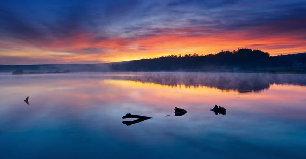 아침 호수에 — 스톡 사진
