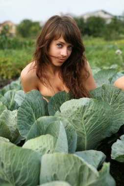 Young woman in plant of cabbage clipart