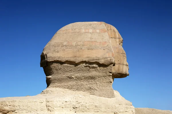 Sphinx hoofd. — Stockfoto