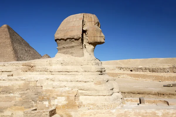 Sphinx huvud. — Stockfoto