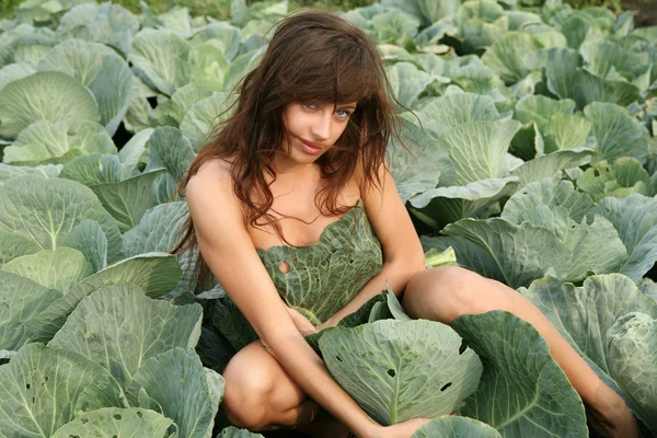 Genç kız lahana gizler. — Stok fotoğraf