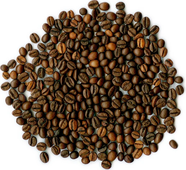 Grains de café . — Photo