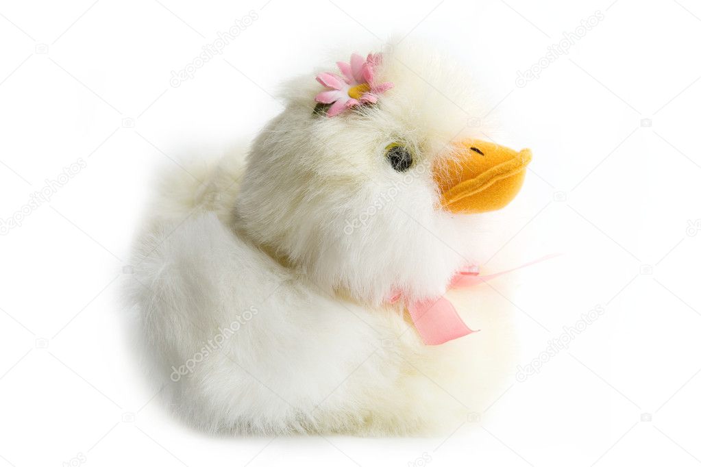 soft duck