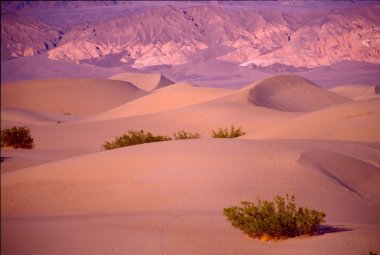 Death Valley clipart