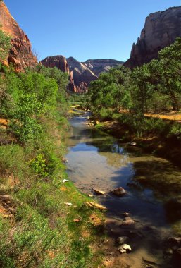 Zion national park