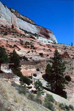 Zion national park