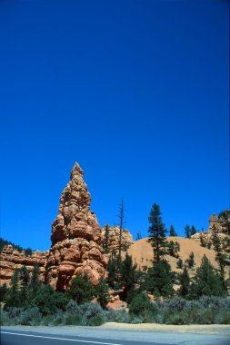 Zion national park