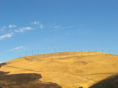 olayı pass