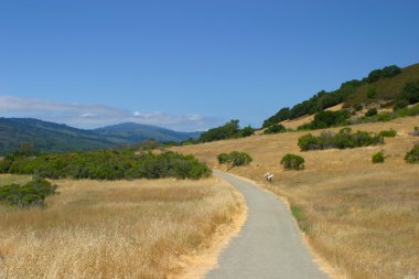 Rancho San Antonio