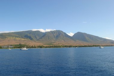 Maui