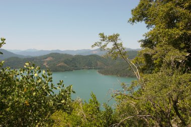 shasta Lake