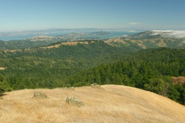 Mount Tamalpais