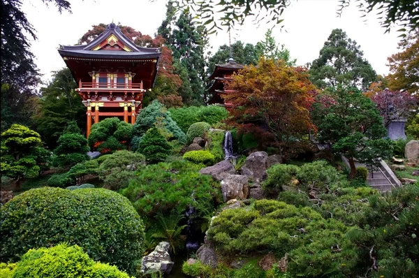 Japanischer Teegarten — Stockfoto