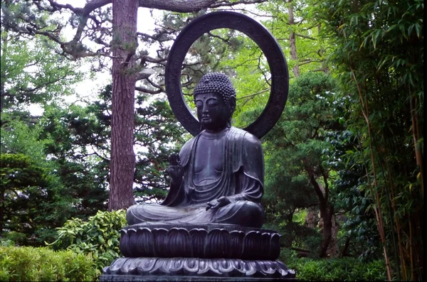 stock image Japanese Tea Garden