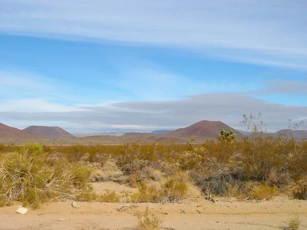 Deserto de Mojavi — Fotografia de Stock