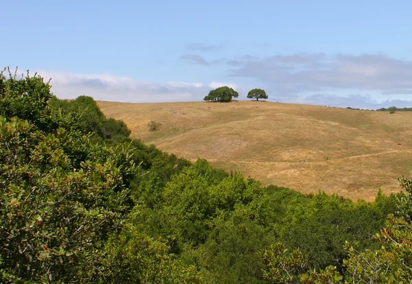 stock image Rancho San Antonio