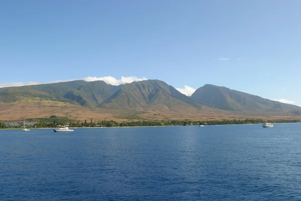 stock image Maui