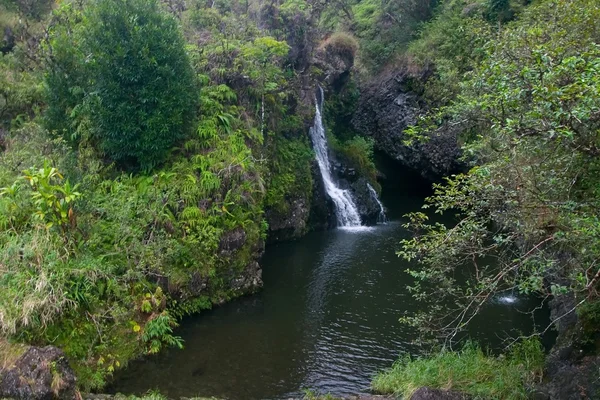 Wasserfall auf dem Weg nach hana — Stockfoto