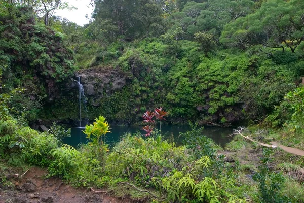 Waterfall on the Road to Hana — Stock Photo, Image