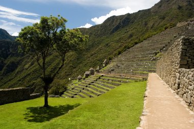 Machu Picchu clipart