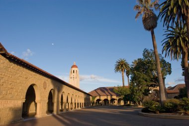 Stanford.